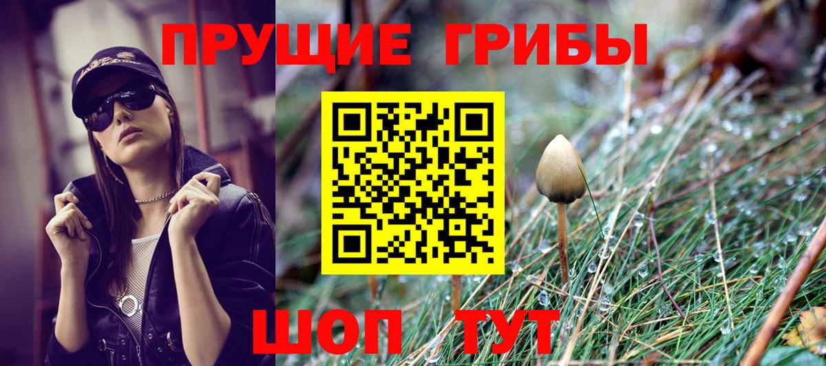 Прохладный  Псилоцибиновые грибы MAGIC MUSHROOMS  Вход с VPN  Галлюциногенные грибы ЛСД 
