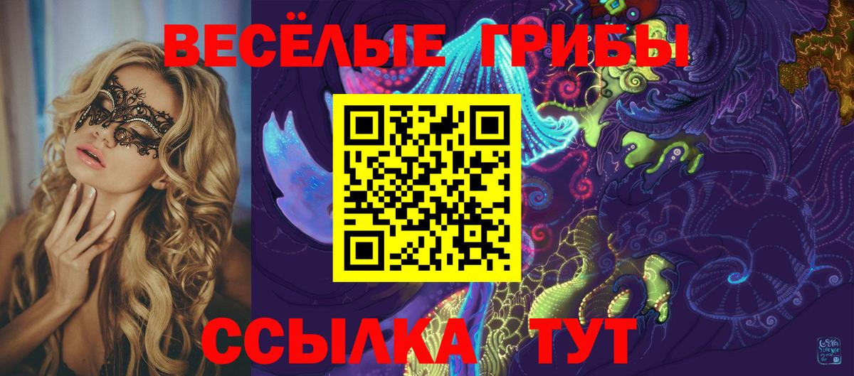 Галлюциногенные грибы Psilocybe Прохладный