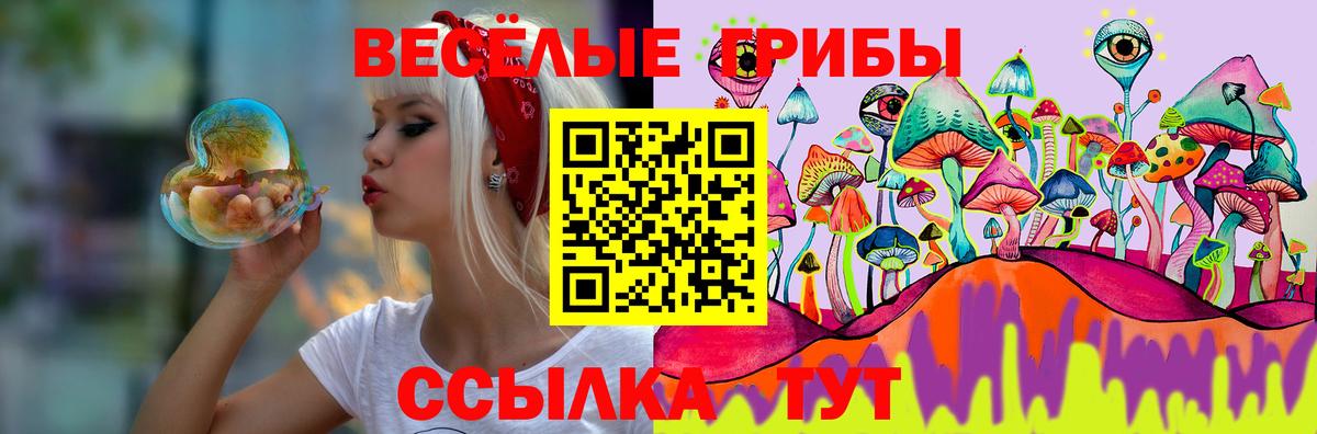 Псилоцибиновые грибы Psilocybe  Псилоцибиновые грибы GOLDEN TEACHER  Прохладный  где можно купить   Вход с VPN 